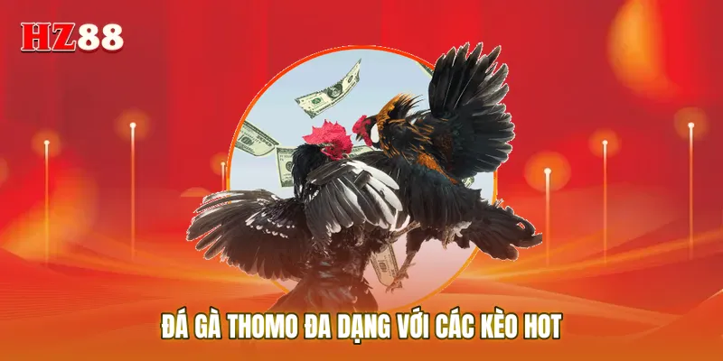 Đá gà Thomo đa dạng với các kèo hot